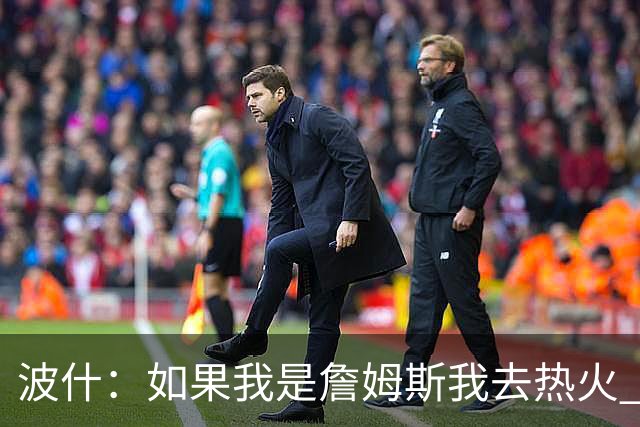 波什：如果我是詹姆斯我去热火 他能和字母哥复刻当年的防守反击
